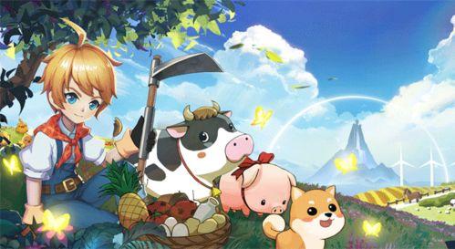 张继聪最新动态爆料,跨界发展背后的心路历程