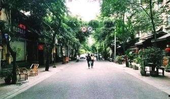 成都公园舆论爆料事件最新,事件真相与公众情绪的碰撞