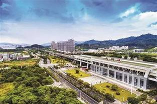 深圳光明区最新爆料,未来规划与发展动向全解析